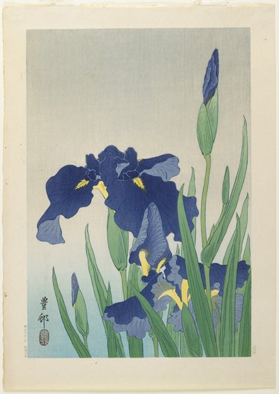 Iris, mid 20th century by Ohara Koson